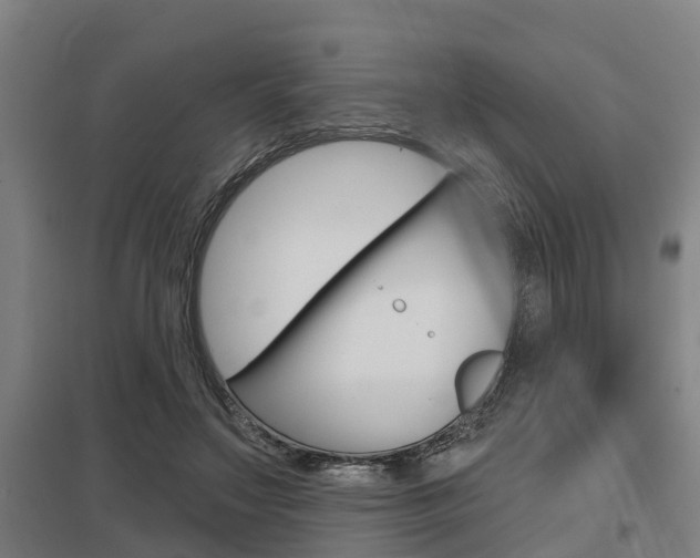 X0000098030499200803280734