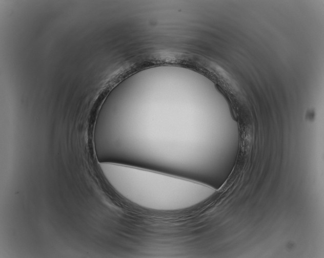 X0000098030500200803280734