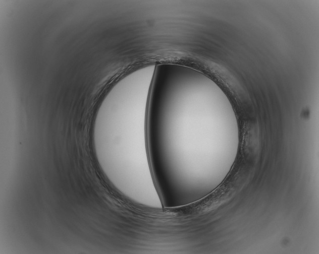 X0000098030501200803280734