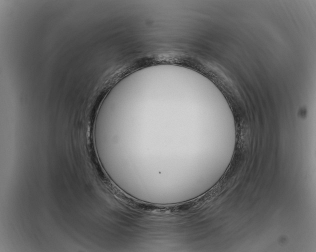 X0000098030502200803280734