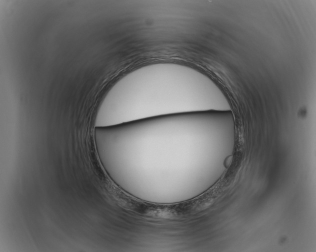 X0000098030503200803280734
