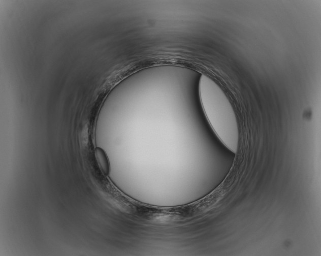 X0000098030504200803280734