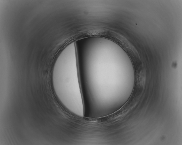 X0000098030505200803280734