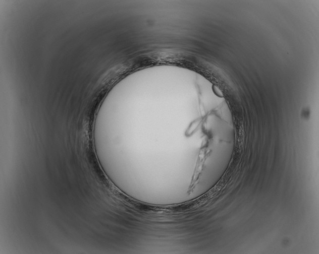 X0000098030506200803280734