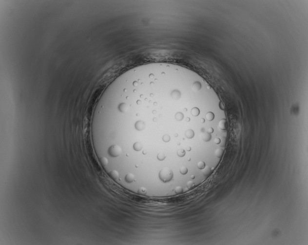 X0000098030507200803280734