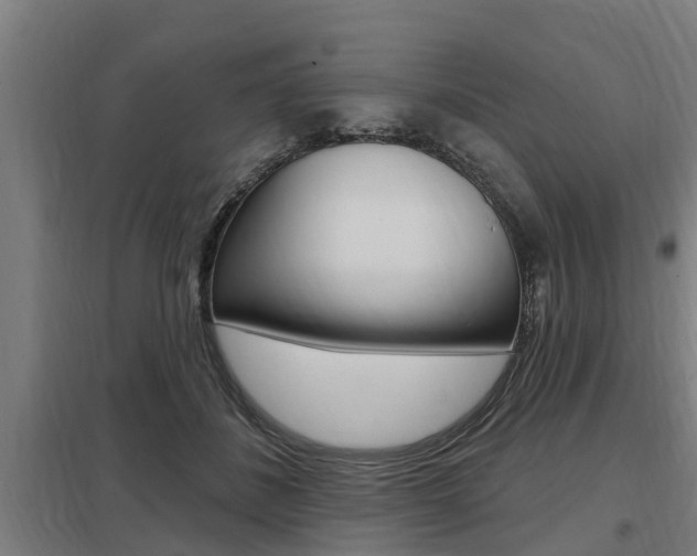 X0000098030508200803280734