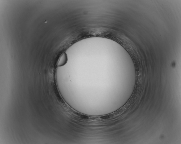 X0000098030510200803280734