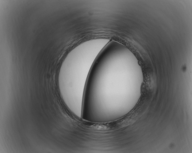 X0000098030512200803280734