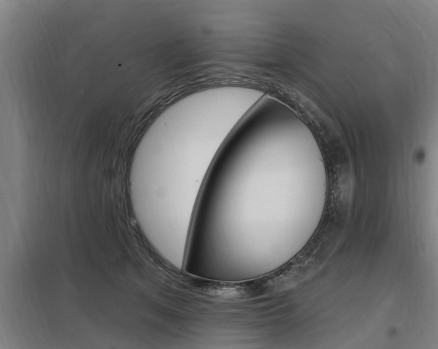 X0000098030513200803280734