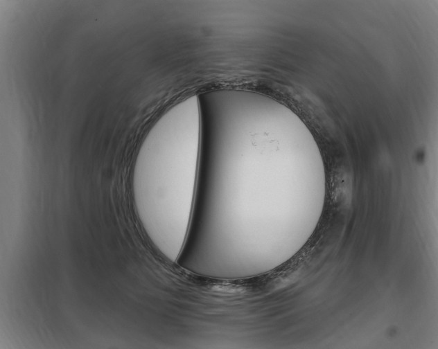X0000098030515200803280734
