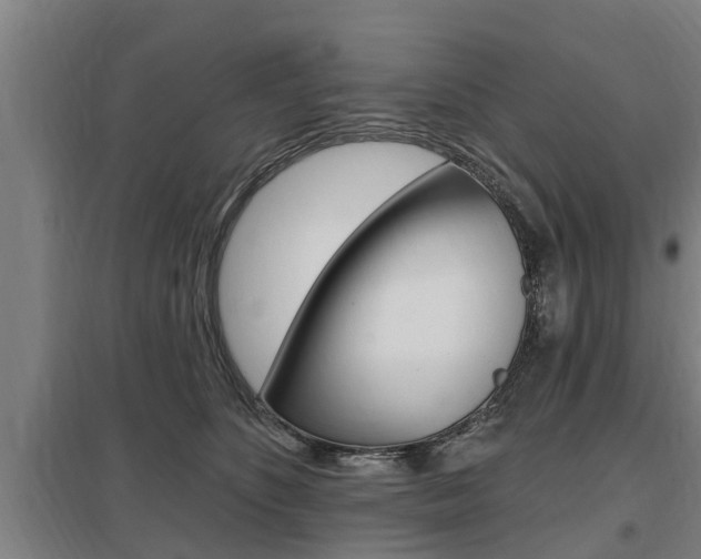 X0000098030516200803280734