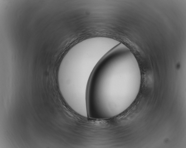 X0000098030517200803280734