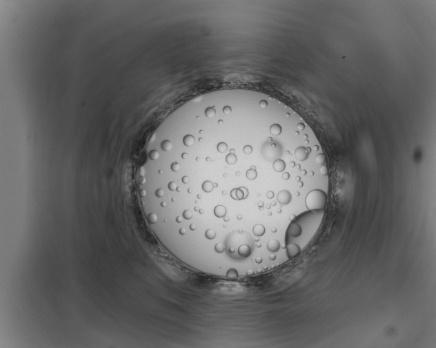 X0000098030519200803280734