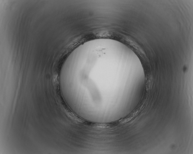 X0000098030521200803280734