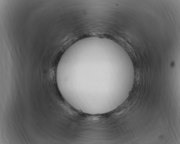 X0000098030523200803280734