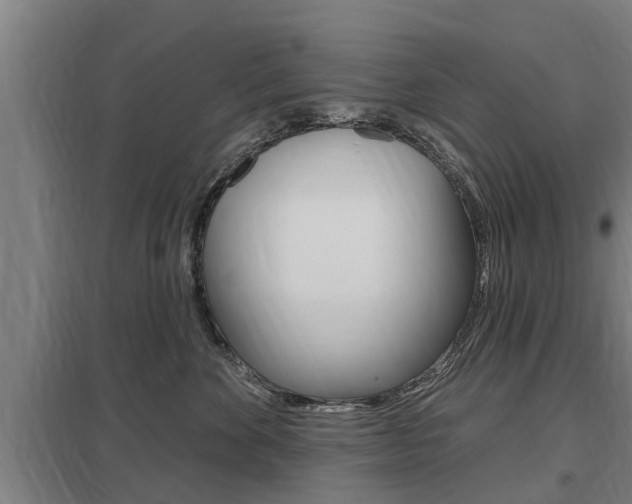 X0000098030524200803280734