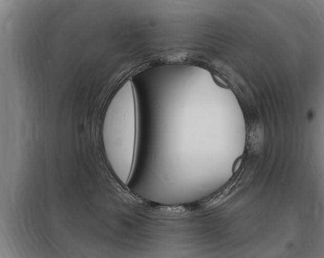 X0000098030525200803280734