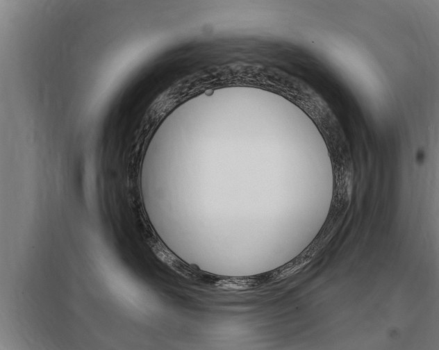 X0000098030526200803280734
