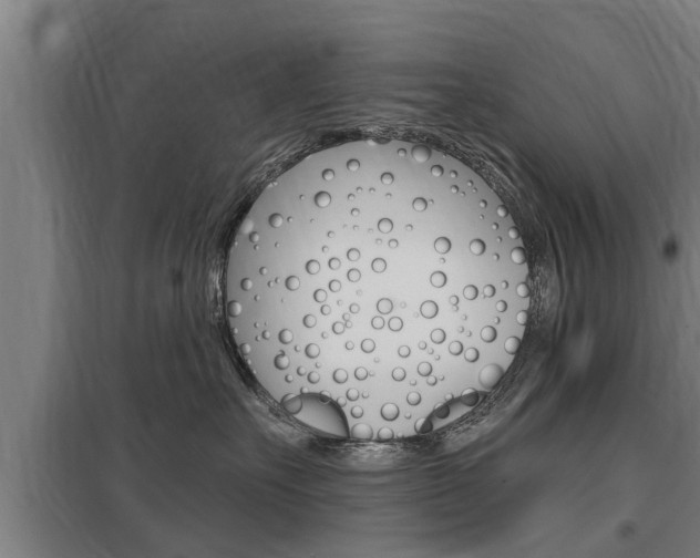X0000098030527200803280734