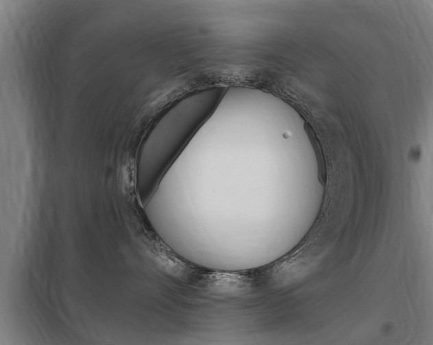 X0000098030528200803280734