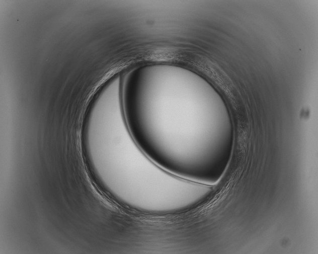 X0000098030530200803280733