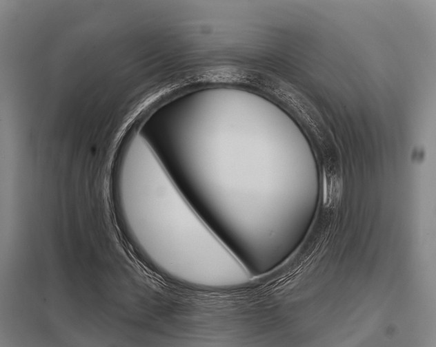 X0000098030531200803280733