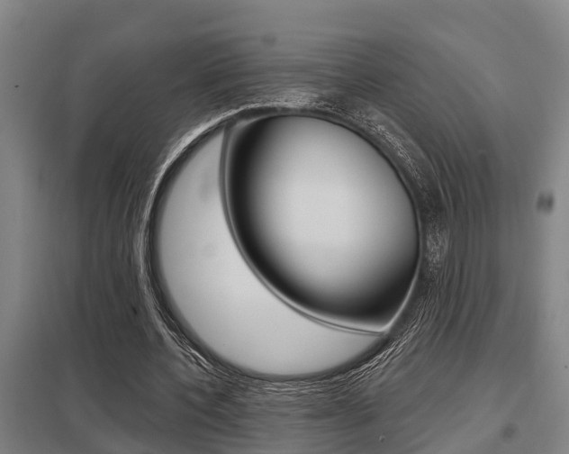X0000098030532200803280733