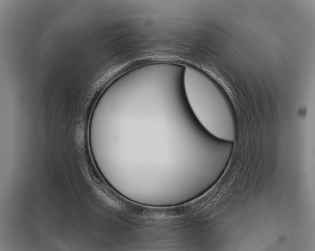 X0000098030533200803280733