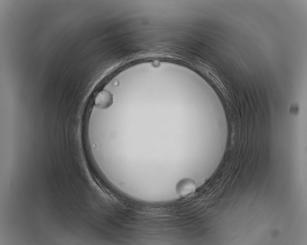 X0000098030534200803280733