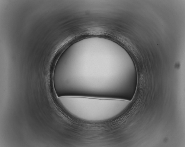 X0000098030535200803280733
