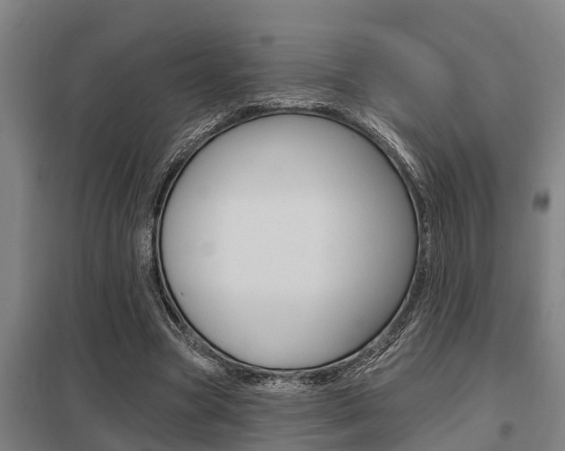 X0000098030537200803280733