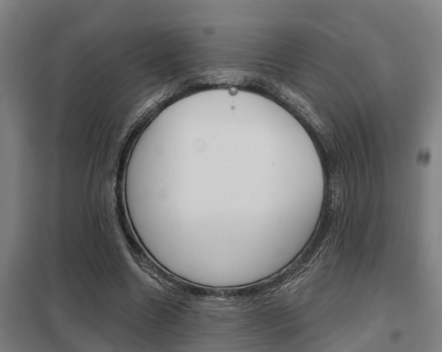 X0000098030538200803280733