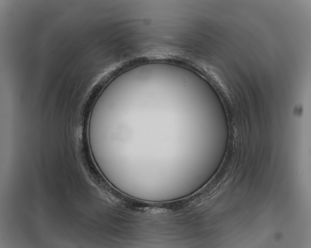 X0000098030539200803280733