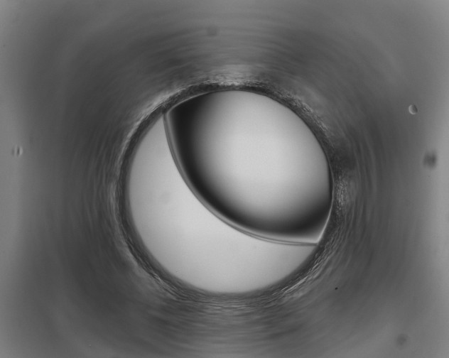 X0000098030540200803280733