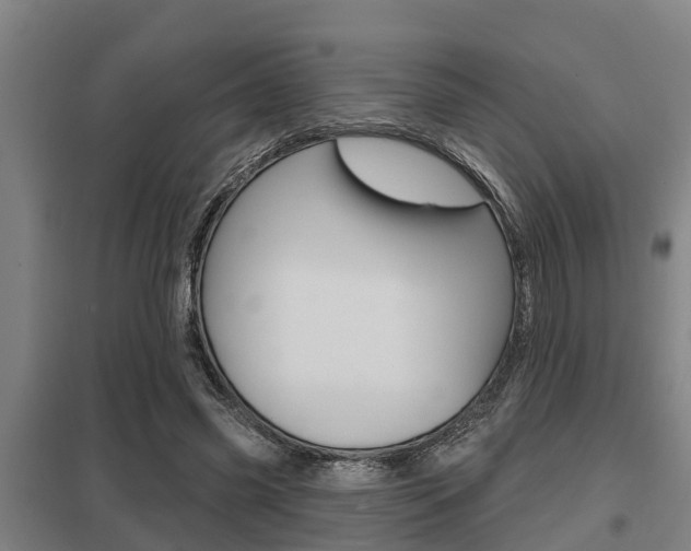 X0000098030541200803280733