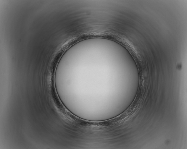 X0000098030542200803280733