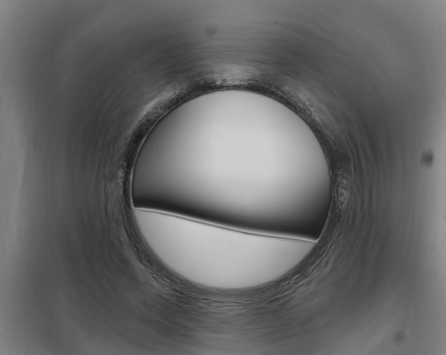 X0000098030543200803280733