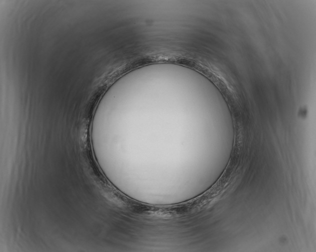 X0000098030545200803280733