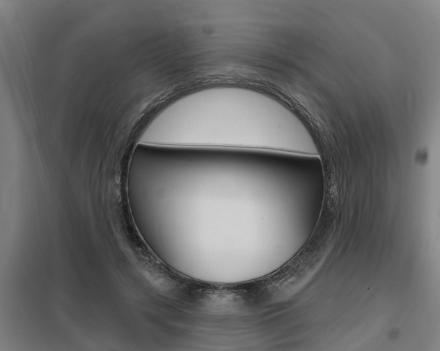 X0000098030547200803280733