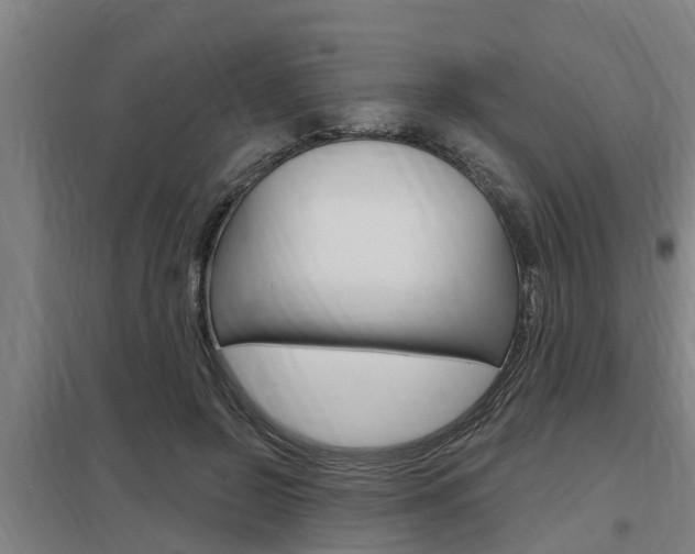 X0000098030550200803280733