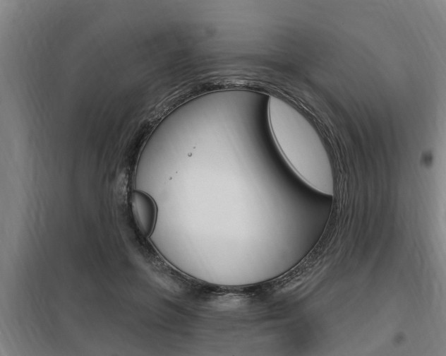 X0000098030551200803280733