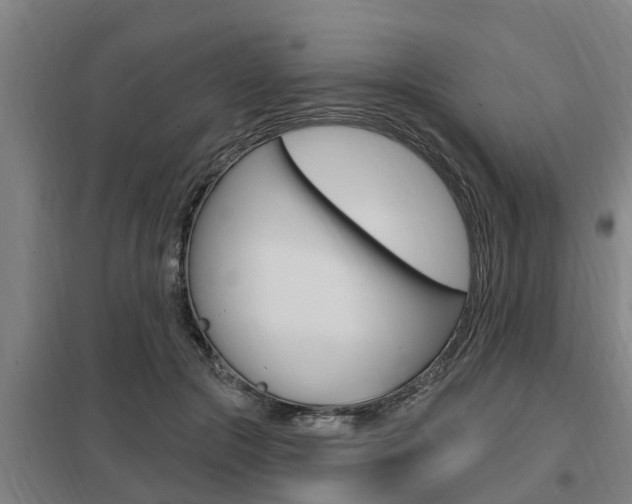 X0000098030553200803280733