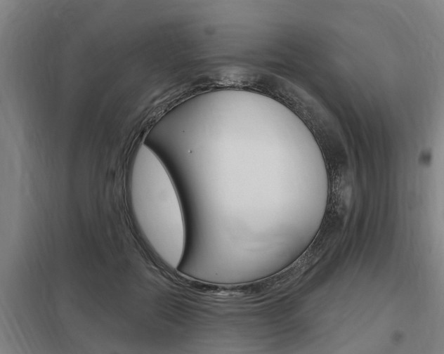 X0000098030554200803280733