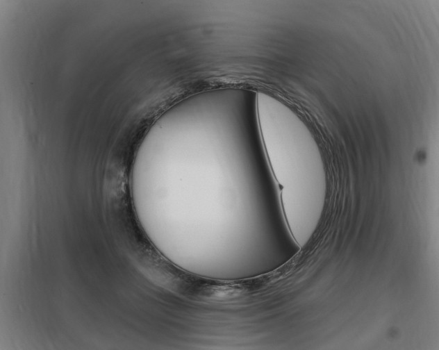 X0000098030555200803280733