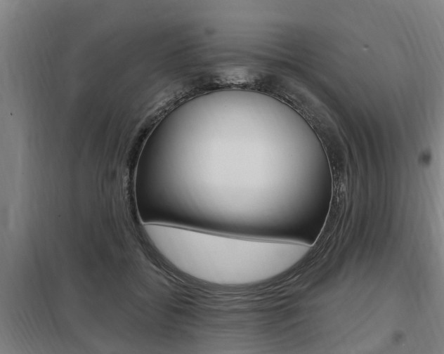 X0000098030556200803280733