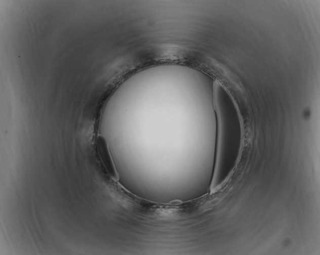 X0000098030560200803280733