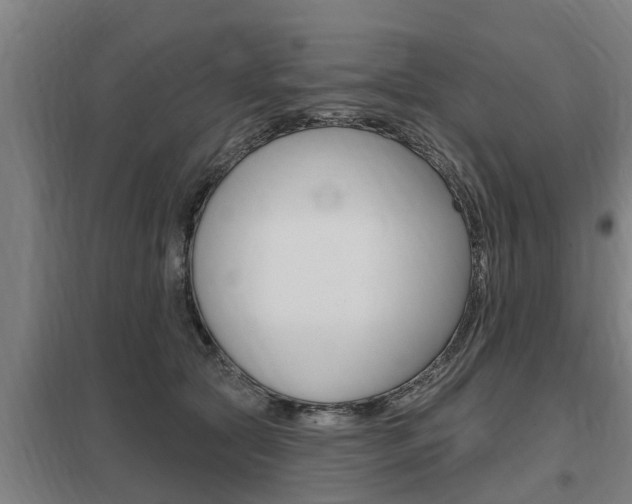 X0000098030561200803280733