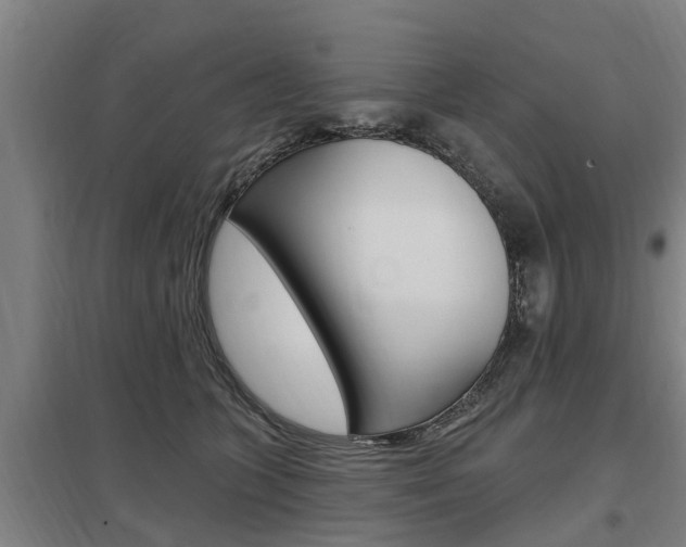 X0000098030563200803280733