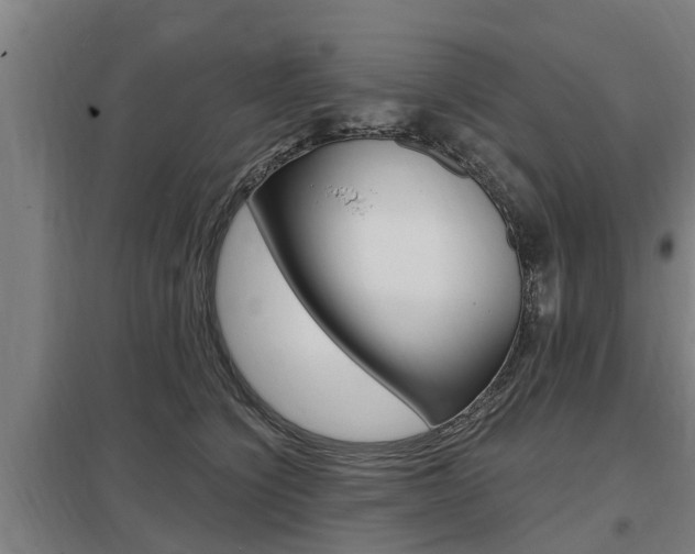 X0000098030564200803280733