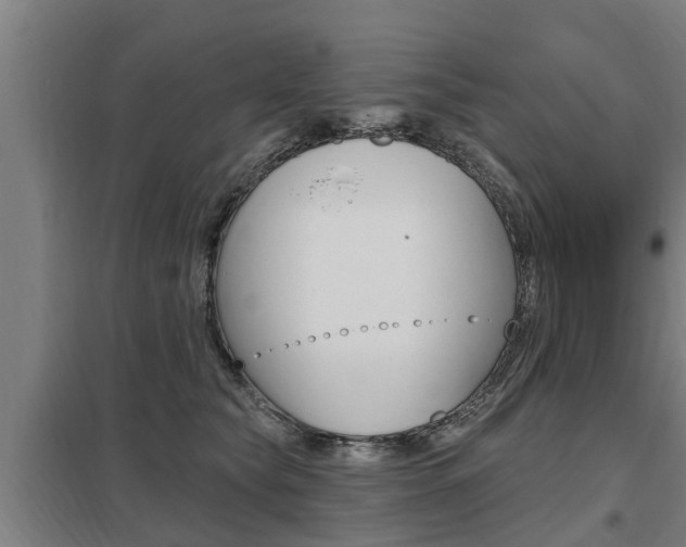 X0000098030565200803280733